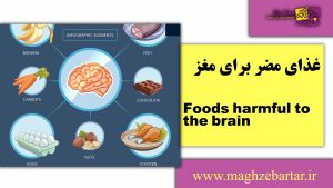 غذاهای مضر برای مغز/مغزبرتر
