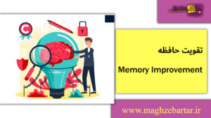 تقویت حافظه/مغزبرتر