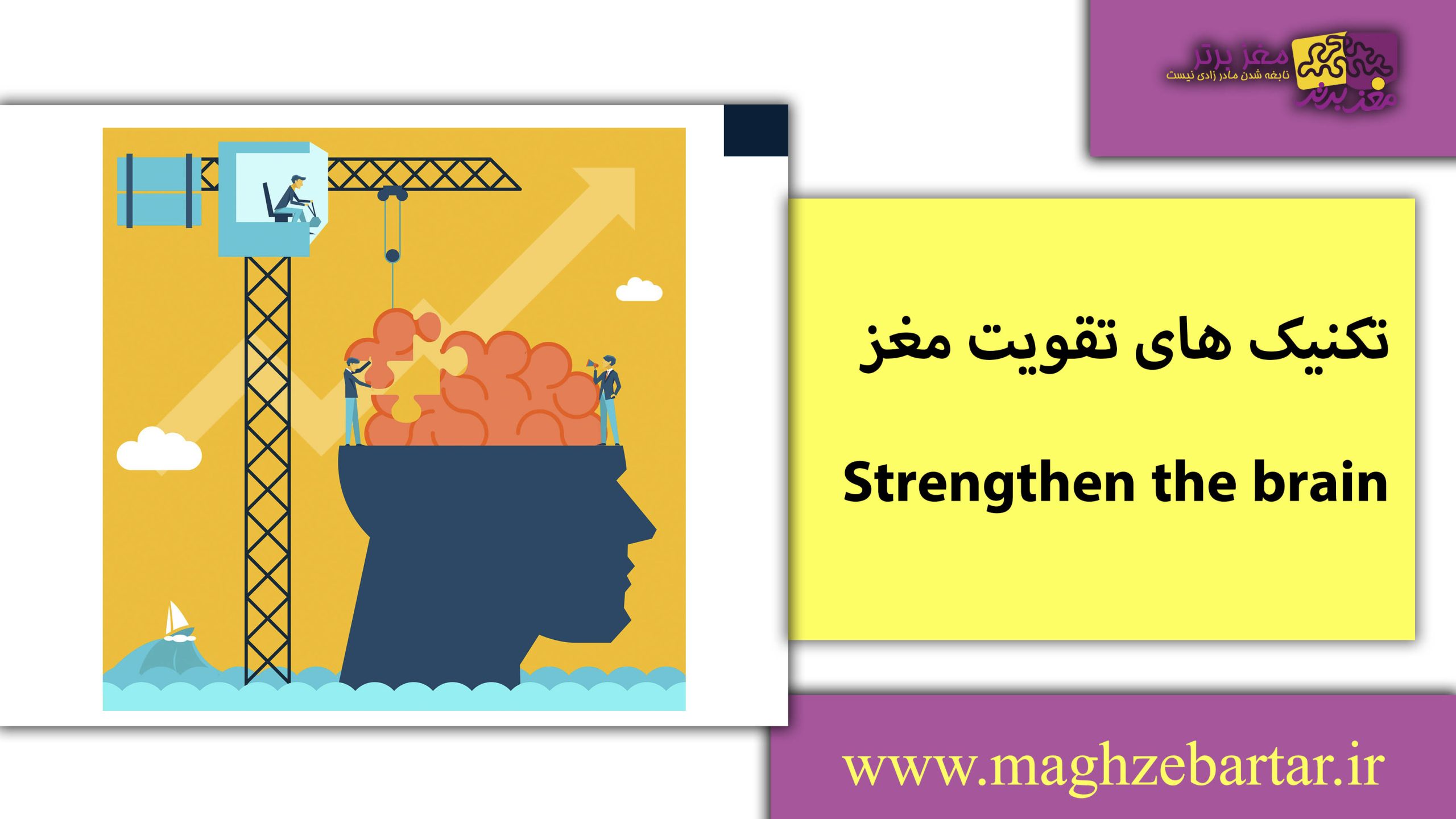 تقویت مغز/مغزبرتر