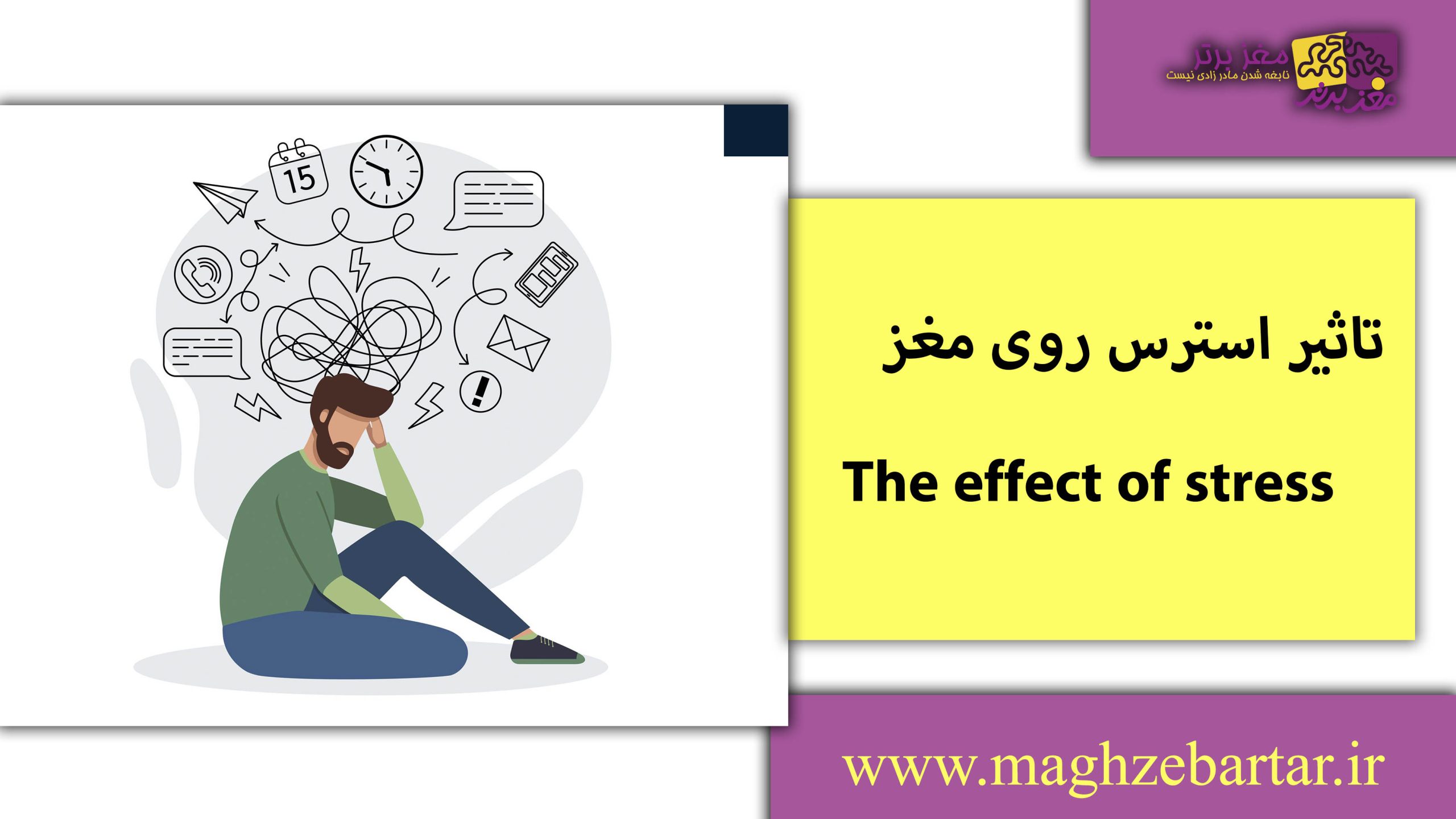 تاثیر استرس روی مغز/مغزبرتر
