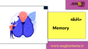 حافظه/مغزبرتر