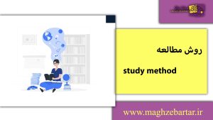 روش مطالعه/مغزبرتر