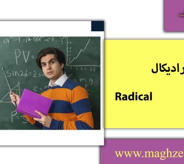 رادیکال/مغزبرتر