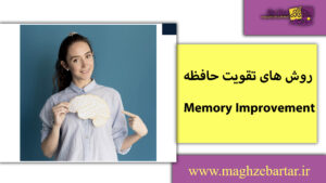 تقویت حافظه/مغزبرتر