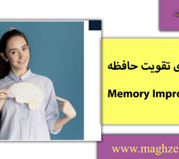 تقویت حافظه/مغزبرتر